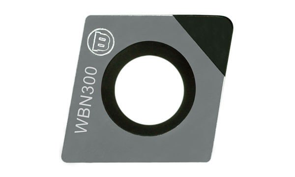 Form 101 Insert 2