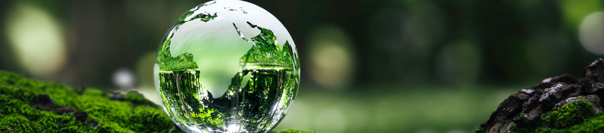 Page Banner